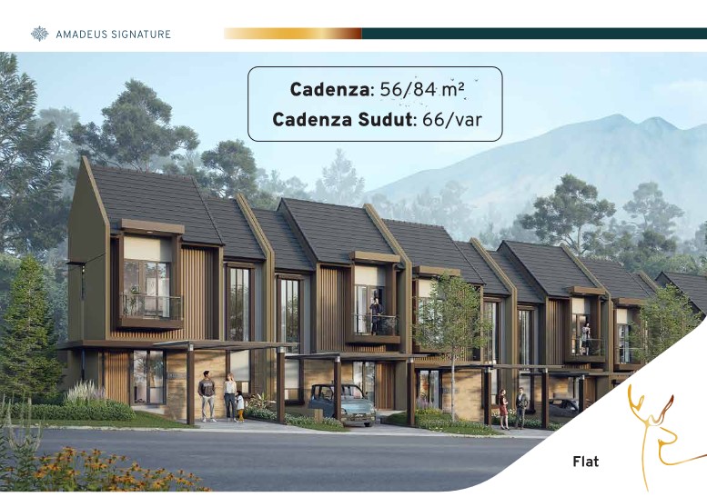 1 cadenza