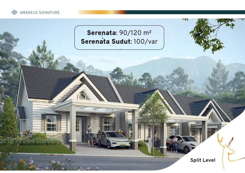 5 serenta